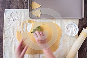 WomanÃ¢â¬â¢s hands cutting out Christmas tree sugar cookies, pastry cloth, cookie sheet